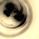 Illustration for article titled 395 Photos That Prove Cellphones Make Great Cameras